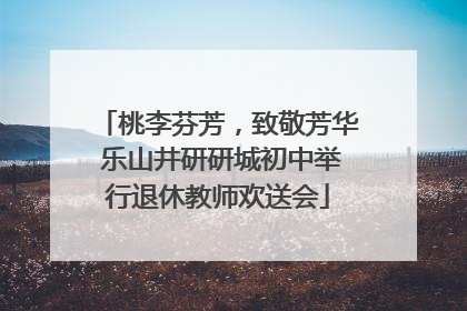 桃李芬芳，致敬芳华 乐山井研研城初中举行退休教师欢送会