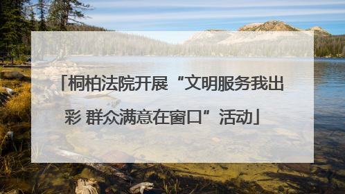 桐柏法院开展“文明服务我出彩 群众满意在窗口”活动