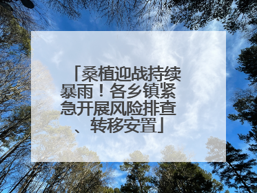 桑植迎战持续暴雨！各乡镇紧急开展风险排查、转移安置