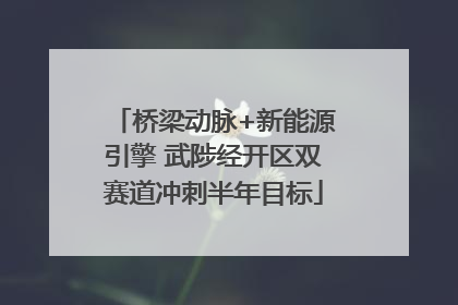 桥梁动脉+新能源引擎 武陟经开区双赛道冲刺半年目标
