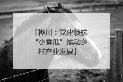 桦川：党建领航“小香瓜”撬动乡村产业发展