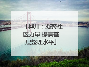 桦川：凝聚社区力量 提高基层整理水平