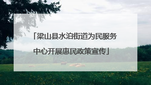 梁山县水泊街道为民服务中心开展惠民政策宣传
