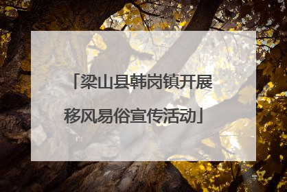 梁山县韩岗镇开展移风易俗宣传活动