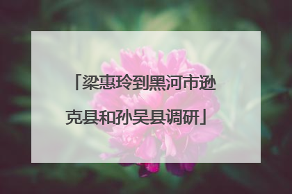 梁惠玲到黑河市逊克县和孙吴县调研