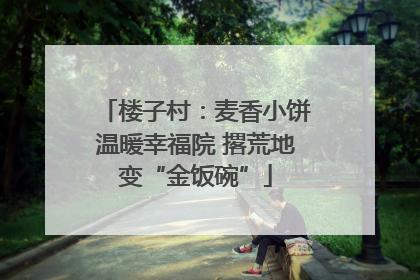 楼子村：麦香小饼温暖幸福院 撂荒地变“金饭碗”