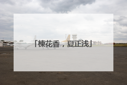 楝花香，夏正浅