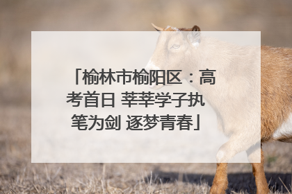 榆林市榆阳区：高考首日 莘莘学子执笔为剑 逐梦青春