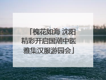 槐花如海 沈阳精彩开启国潮中医雅集汉服游园会
