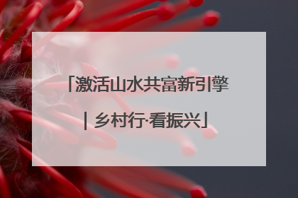 激活山水共富新引擎｜乡村行·看振兴