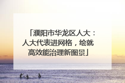 濮阳市华龙区人大：人大代表进网格，绘就高效能治理新图景