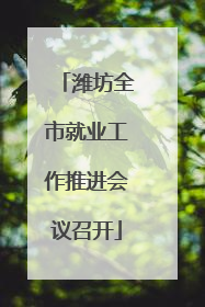 潍坊全市就业工作推进会议召开