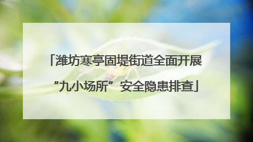 潍坊寒亭固堤街道全面开展“九小场所”安全隐患排查