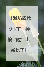潍坊诸城殷玉宝：种粮“蹚”出新路子