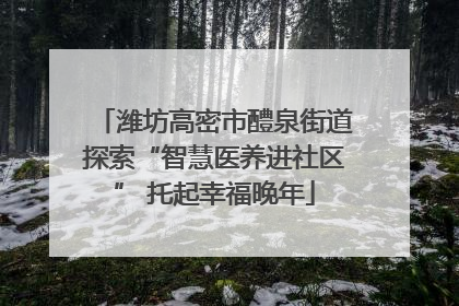 潍坊高密市醴泉街道探索“智慧医养进社区” 托起幸福晚年