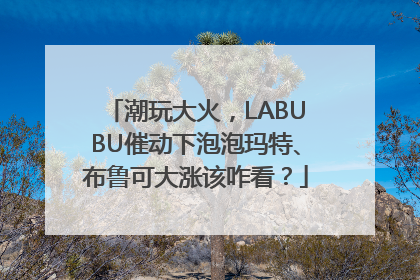 潮玩大火，LABUBU催动下泡泡玛特、布鲁可大涨该咋看？