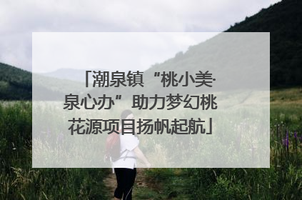 潮泉镇“桃小美·泉心办”助力梦幻桃花源项目扬帆起航