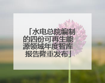 水电总院编制的四份可再生能源领域年度智库报告隆重发布