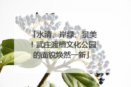 水清、岸绿、景美！武庄渡槽文化公园的面貌焕然一新