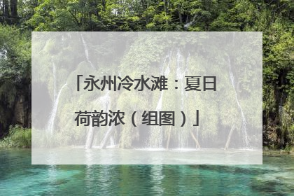 永州冷水滩：夏日荷韵浓（组图）