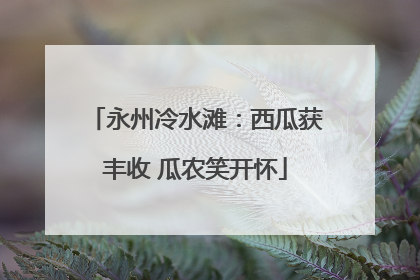 永州冷水滩：西瓜获丰收 瓜农笑开怀