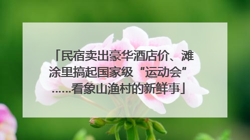 民宿卖出豪华酒店价、滩涂里搞起国家级“运动会”……看象山渔村的新鲜事