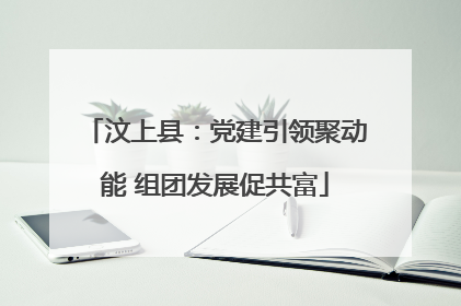 汶上县：党建引领聚动能 组团发展促共富