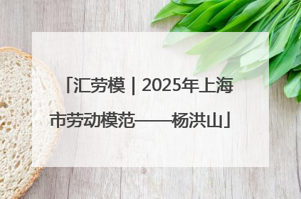 汇劳模｜2025年上海市劳动模范——杨洪山