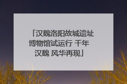 汉魏洛阳故城遗址博物馆试运行 千年汉魏 风华再现