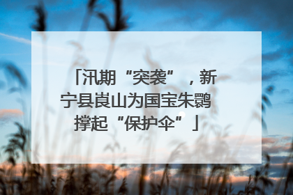 汛期“突袭”，新宁县崀山为国宝朱鹮撑起“保护伞”