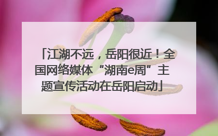 江湖不远，岳阳很近！全国网络媒体“湖南e周”主题宣传活动在岳阳启动