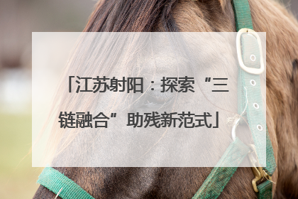江苏射阳：探索“三链融合”助残新范式