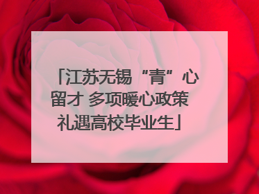 江苏无锡“青”心留才 多项暖心政策礼遇高校毕业生