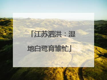 江苏泗洪：湿地白鹭育雏忙