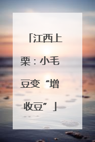江西上栗：小毛豆变“增收豆”