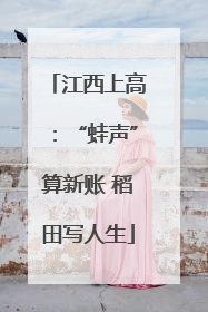 江西上高：“蛙声”算新账 稻田写人生