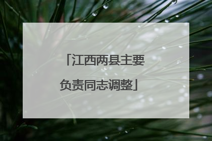 江西两县主要负责同志调整