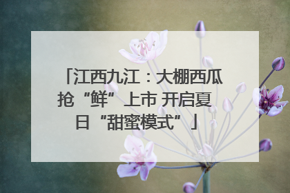 江西九江：大棚西瓜抢“鲜”上市 开启夏日“甜蜜模式”