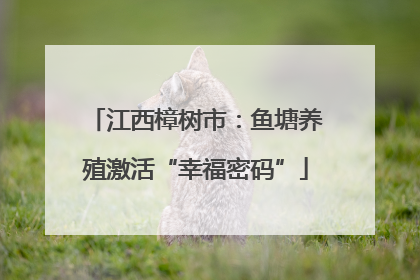 江西樟树市：鱼塘养殖激活“幸福密码”
