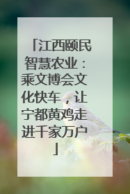 江西颐民智慧农业：乘文博会文化快车，让宁都黄鸡走进千家万户