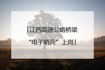 江西高速公路桥梁“电子哨兵”上岗