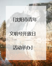 沈阳市青年文明号开放日活动举办