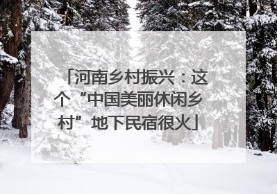 河南乡村振兴：这个“中国美丽休闲乡村”地下民宿很火