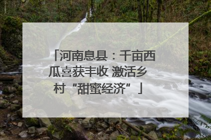 河南息县：千亩西瓜喜获丰收 激活乡村“甜蜜经济”