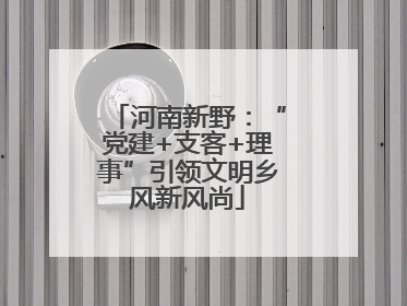 河南新野：“党建+支客+理事”引领文明乡风新风尚