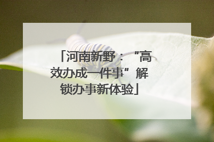 河南新野：“高效办成一件事”解锁办事新体验