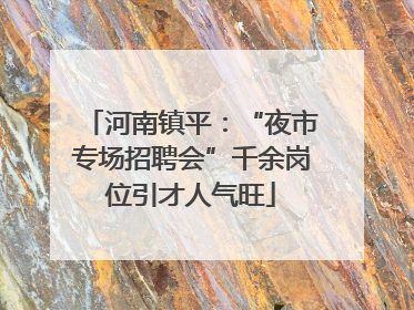 河南镇平：“夜市专场招聘会”千余岗位引才人气旺