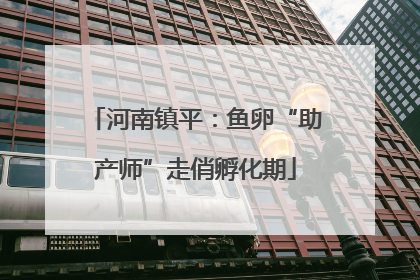 河南镇平：鱼卵“助产师”走俏孵化期