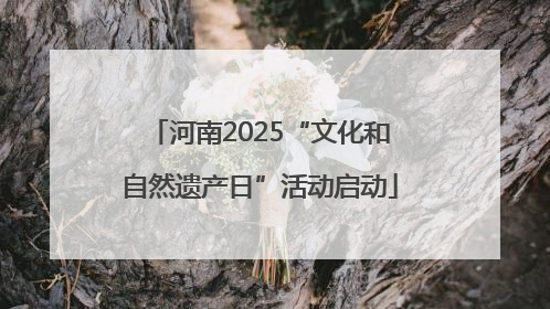 河南2025“文化和自然遗产日”活动启动