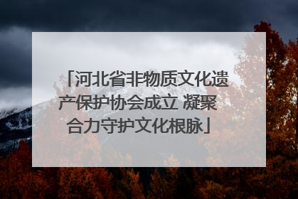 河北省非物质文化遗产保护协会成立 凝聚合力守护文化根脉